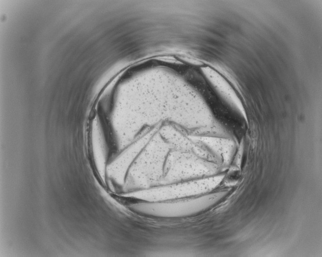 X0000061761151200512302257