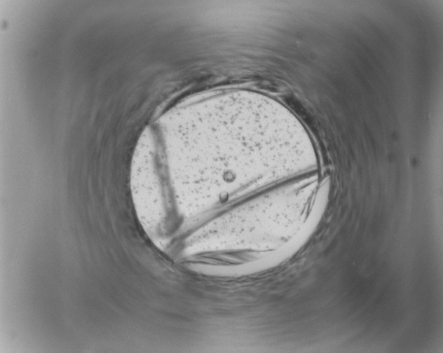 X0000061761153200512302256