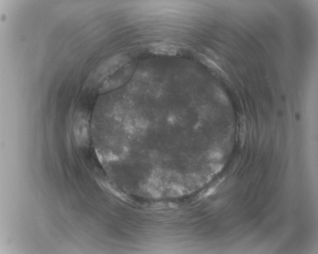 X0000061761154200512302256