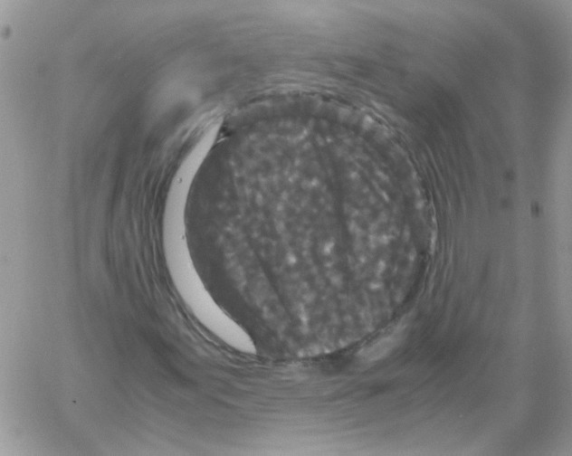 X0000061761155200512302256