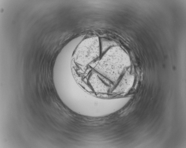 X0000061761156200512302256