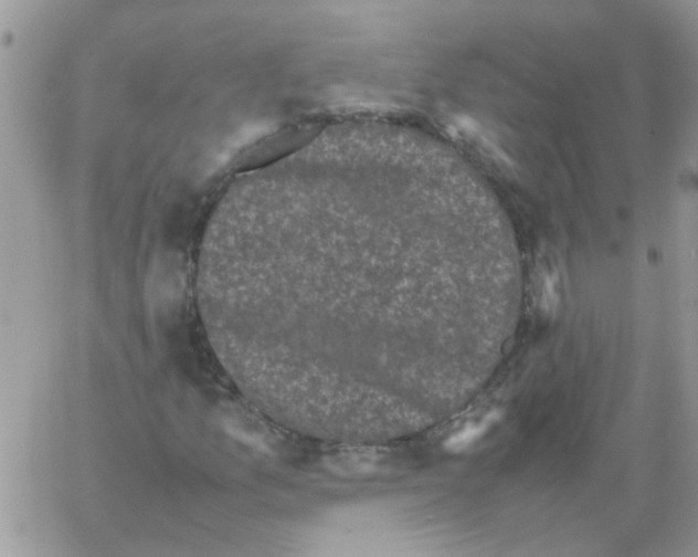 X0000061761157200512302256