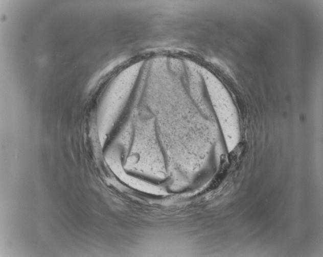 X0000061761159200512302256