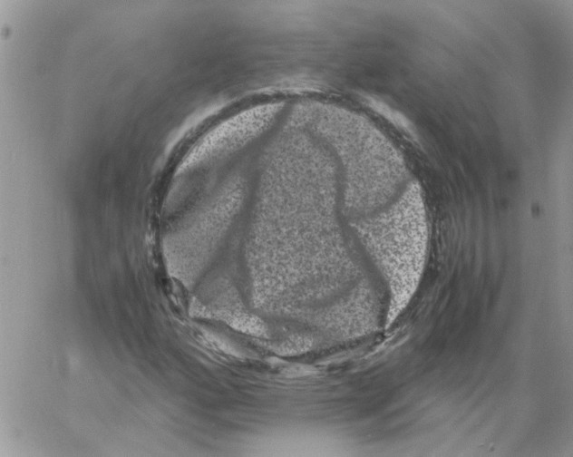 X0000061761160200512302256