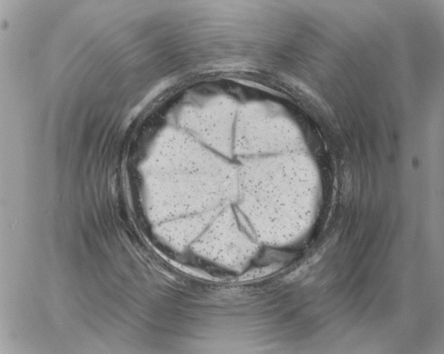 X0000061761162200512302256