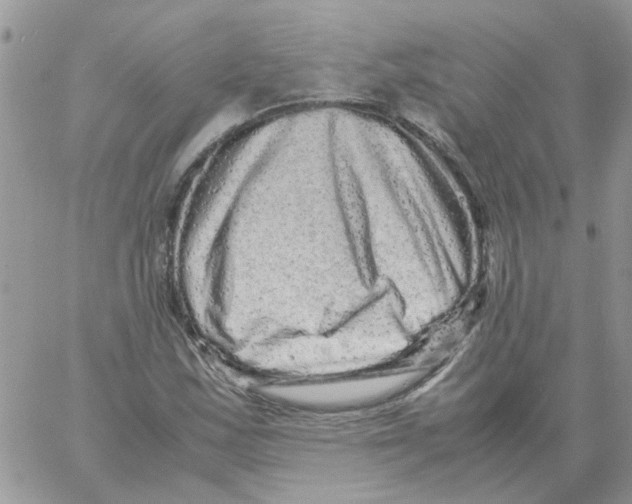 X0000061761163200512302256