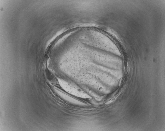 X0000061761165200512302256