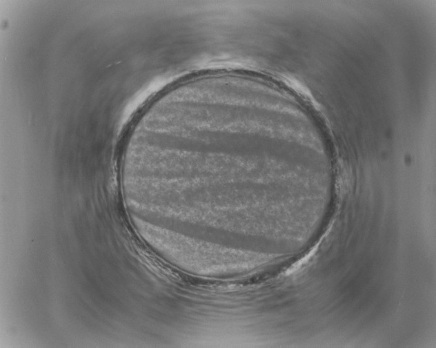 X0000061761167200512302256