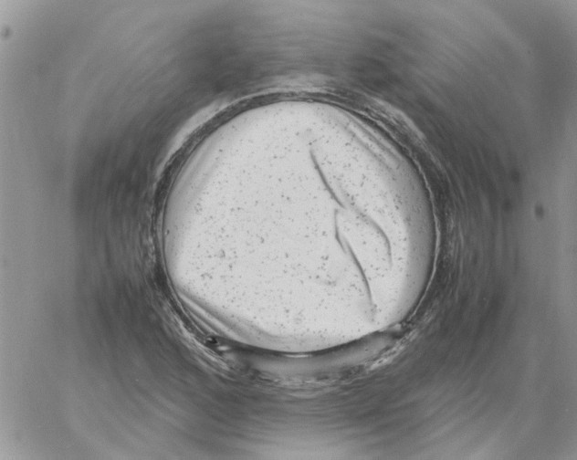 X0000061761168200512302256