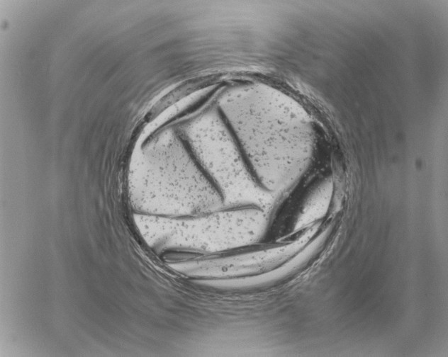 X0000061761169200512302256