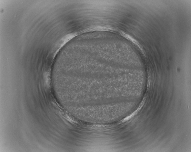 X0000061761170200512302256