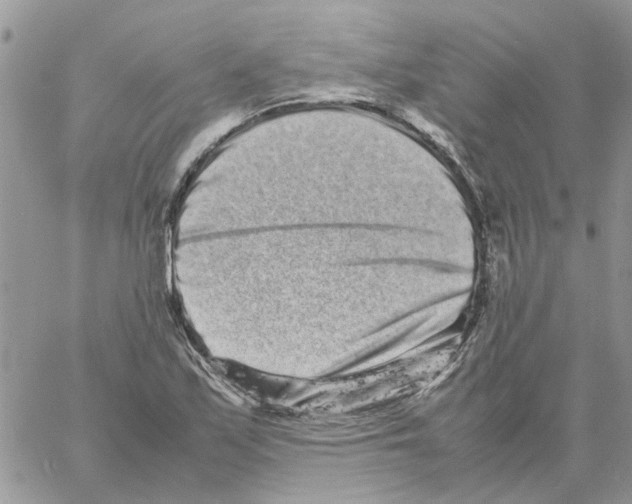 X0000061761171200512302256