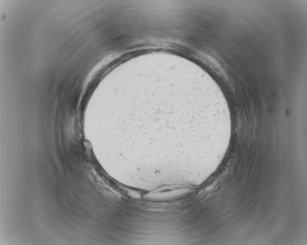 X0000061761172200512302256