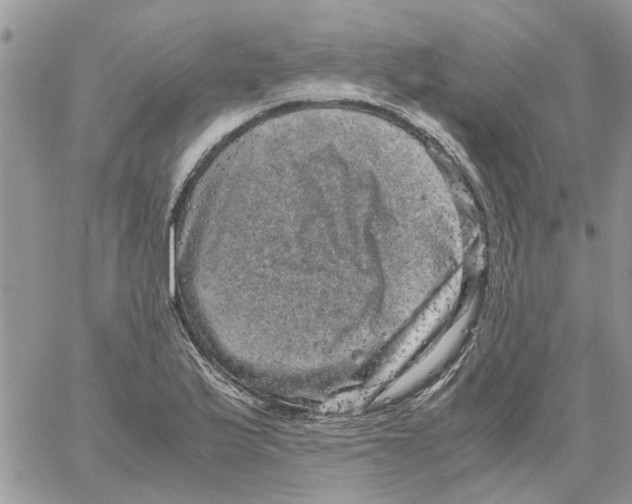 X0000061761175200512302256