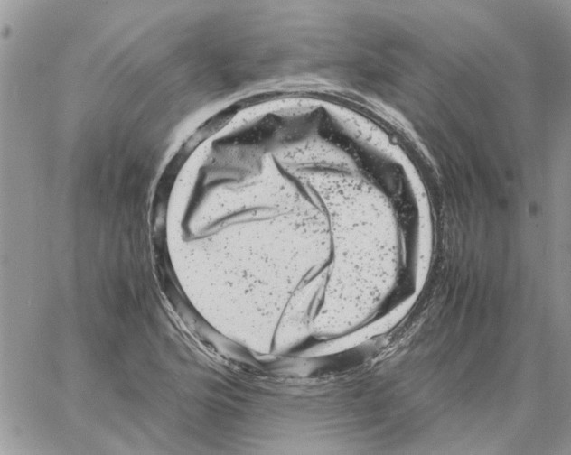 X0000061761176200512302256