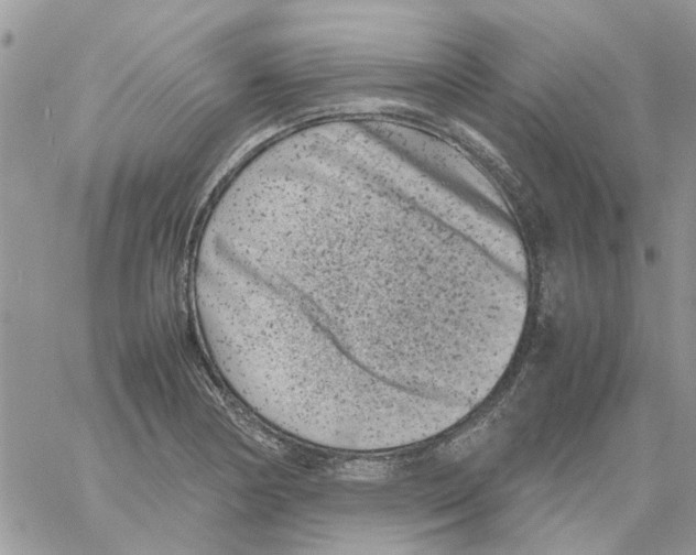 X0000061761178200512302256