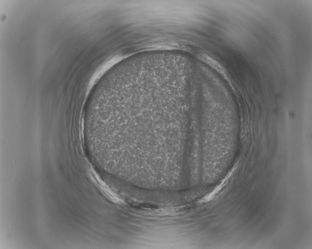 X0000061761179200512302256