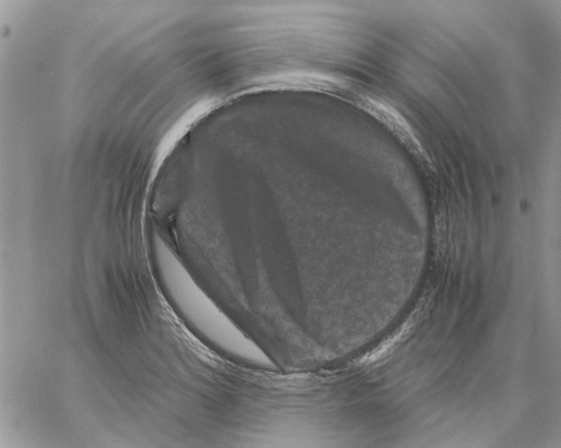 X0000061761180200512302256