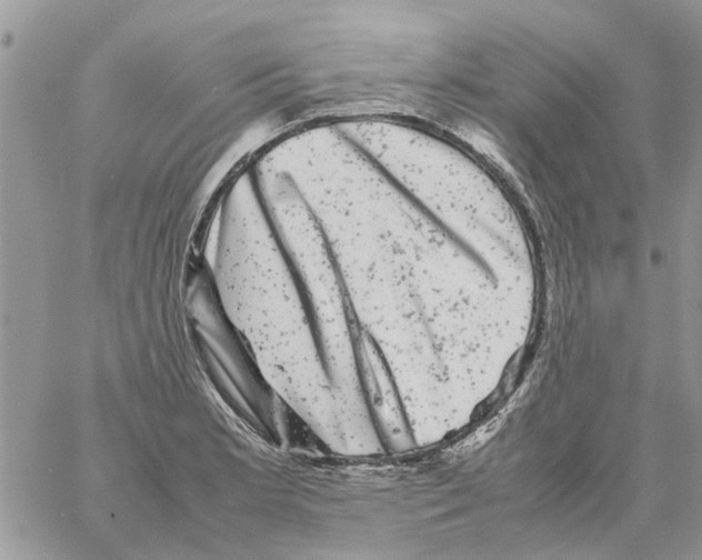 X0000061761181200512302256