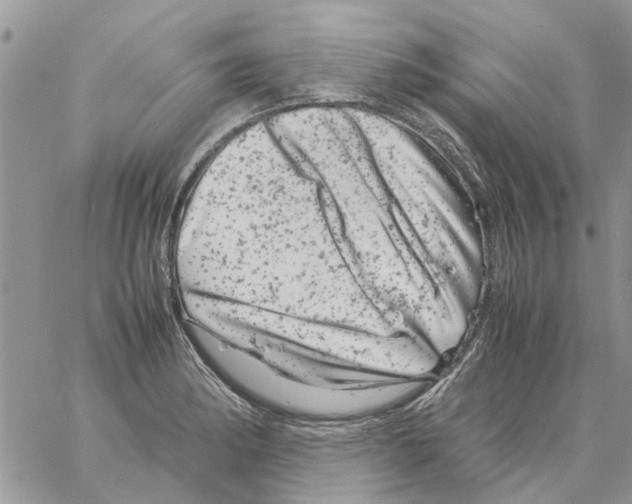 X0000061761182200512302256