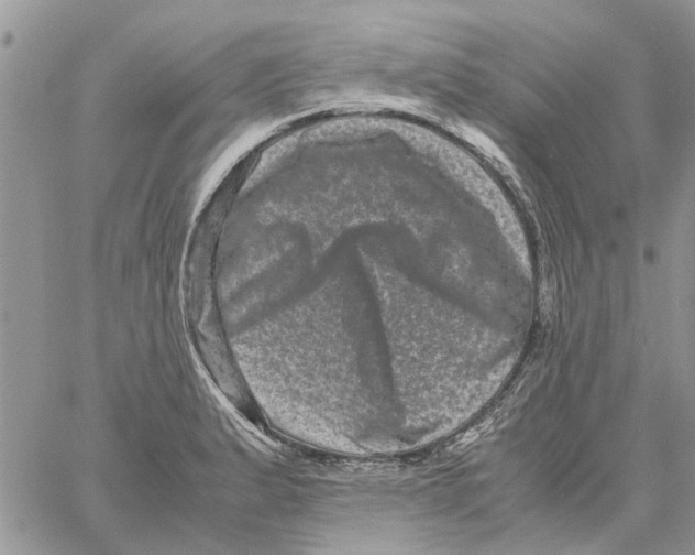 X0000061761183200512302256