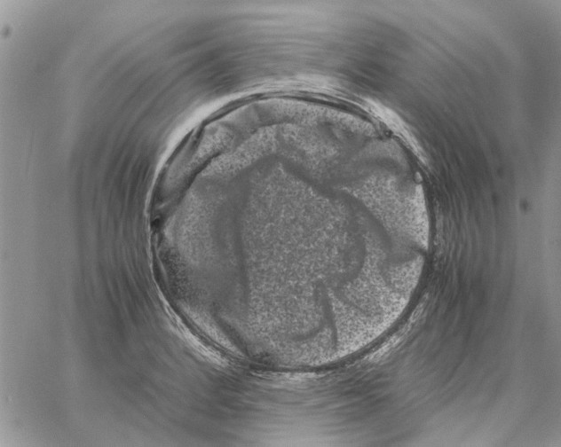 X0000061761184200512302256