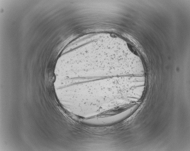 X0000061761185200512302255