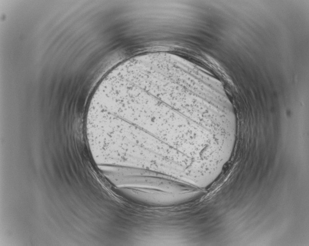 X0000061761186200512302255