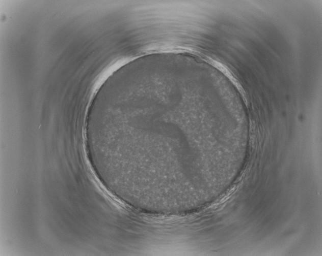 X0000061761187200512302255