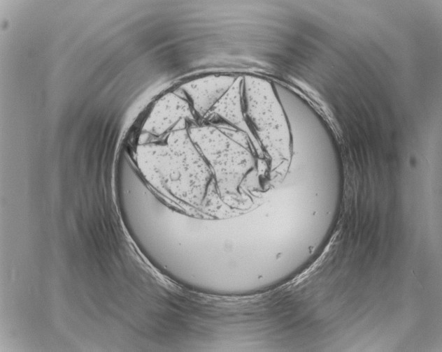 X0000061761188200512302255