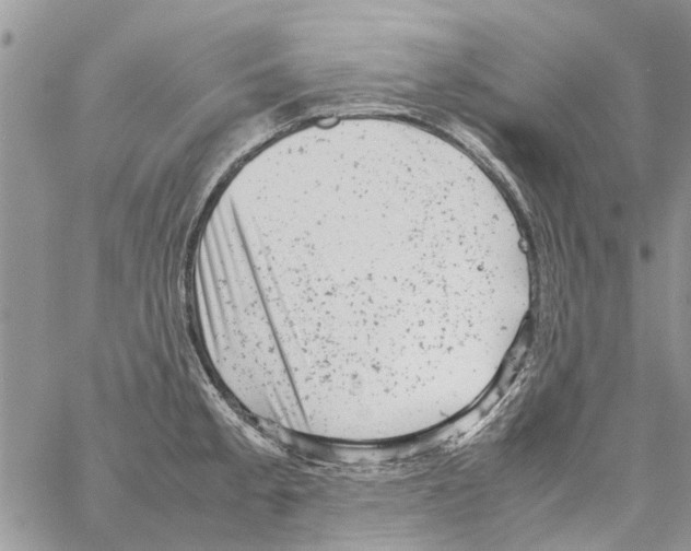 X0000061761189200512302255