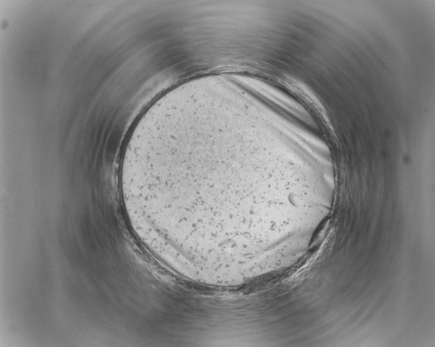 X0000061761190200512302255