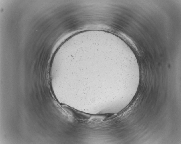 X0000061761192200512302255