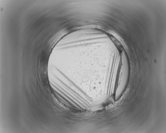 X0000061761193200512302255