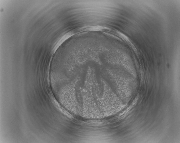 X0000061761194200512302255