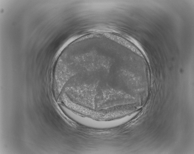 X0000061761195200512302255