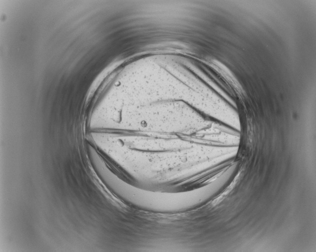 X0000061761196200512302255