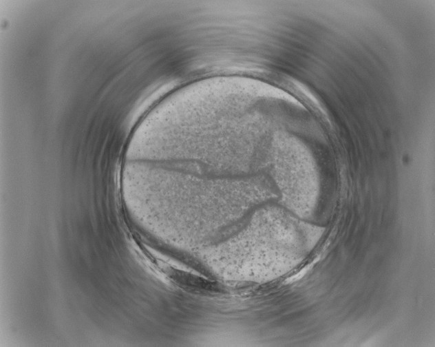 X0000061761198200512302255