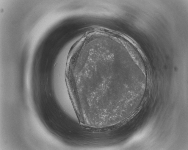 X0000061761199200512302255