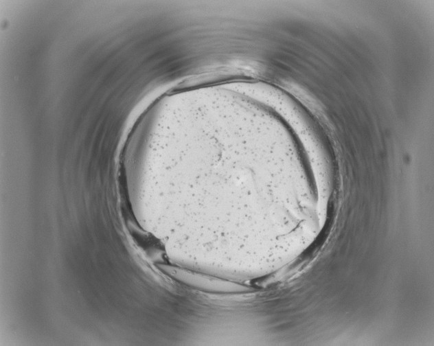 X0000061761200200512302255