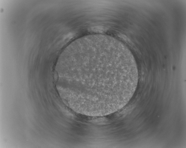 X0000061761201200512302254