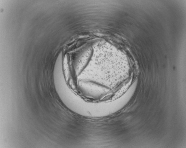 X0000061761202200512302254