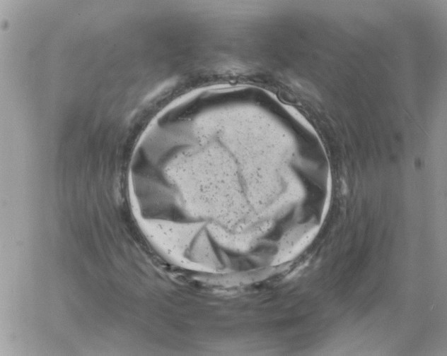 X0000061761205200512302255