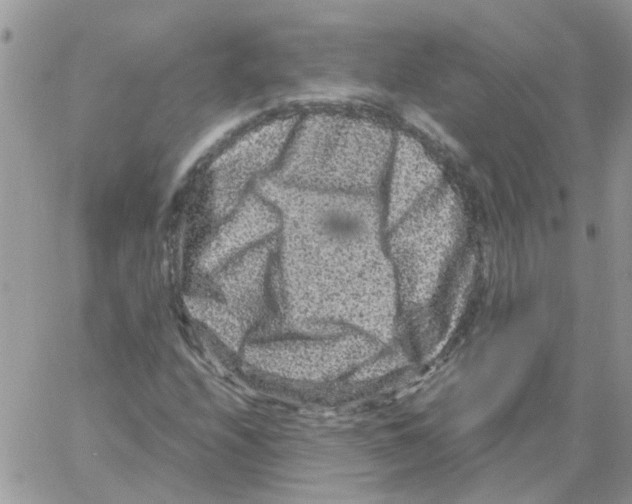 X0000061761208200512302255