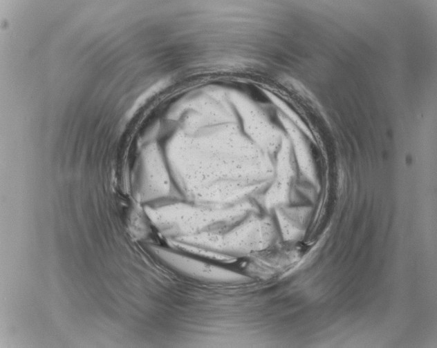 X0000061761210200512302255