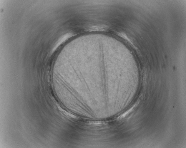 X0000061761211200512302255