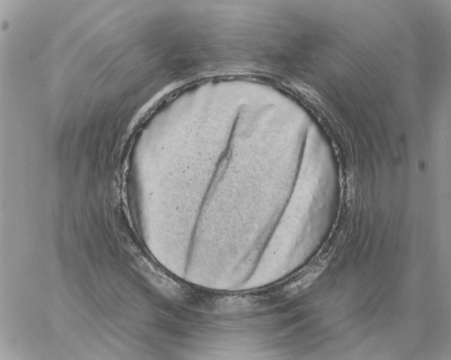 X0000061761212200512302255