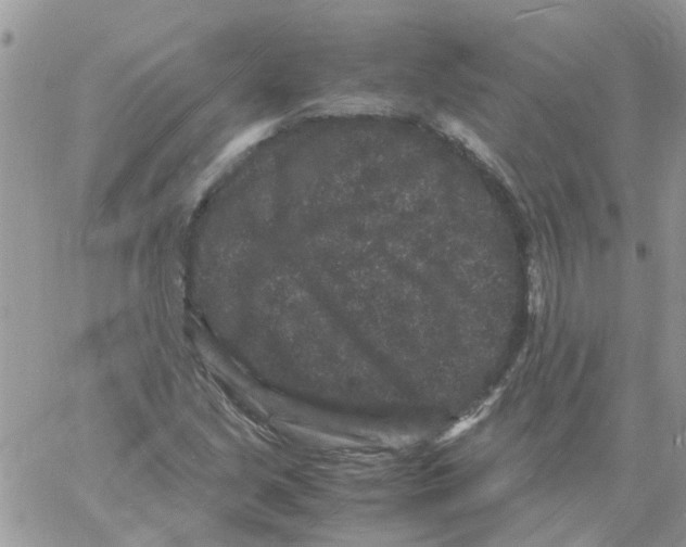 X0000061761213200512302255