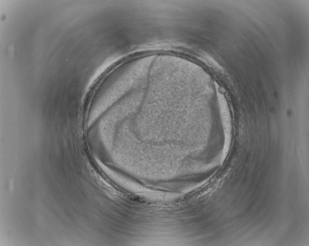 X0000061761216200512302255