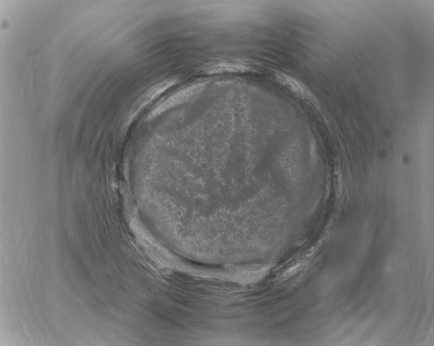 X0000061761217200512302255